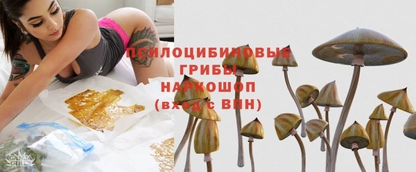 соль ск Инсар