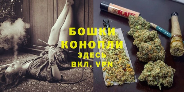 соль ск Инсар