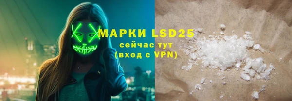 соль ск Инсар