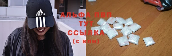 соль ск Инсар