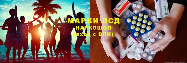 соль ск Инсар