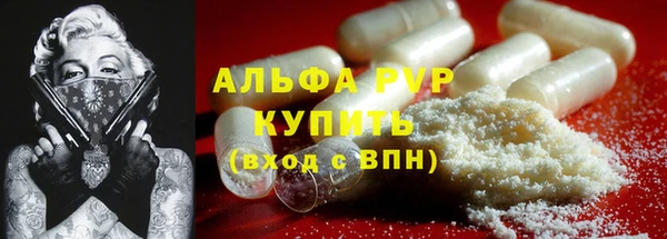 соль ск Инсар