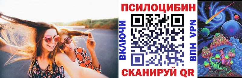 Купить где Трубчевск Галлюциногенные грибы GOLDEN TEACHER
