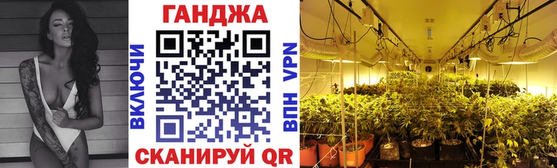 Купить где Трубчевск Канабис VHQ
